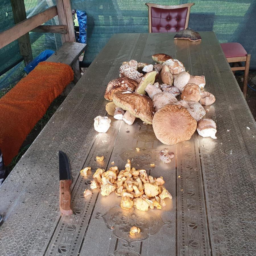 Planinska Koliba Ajdanovici Jelovac Nisicka Visoravan Olovo  Buitenkant foto