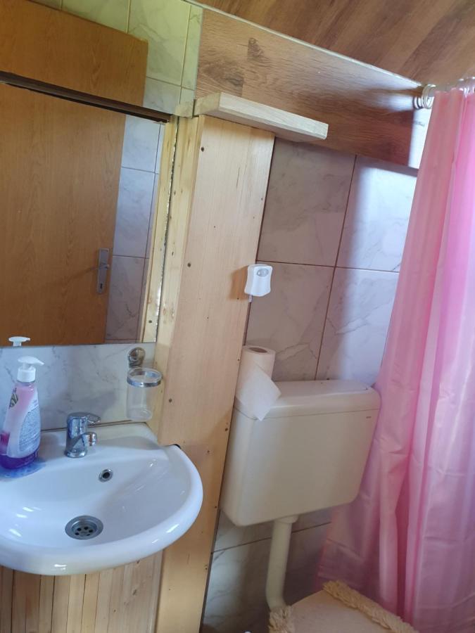 Planinska Koliba Ajdanovici Jelovac Nisicka Visoravan Olovo  Buitenkant foto