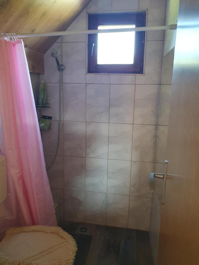 Planinska Koliba Ajdanovici Jelovac Nisicka Visoravan Olovo  Buitenkant foto